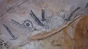  Aboriginal rock paintings